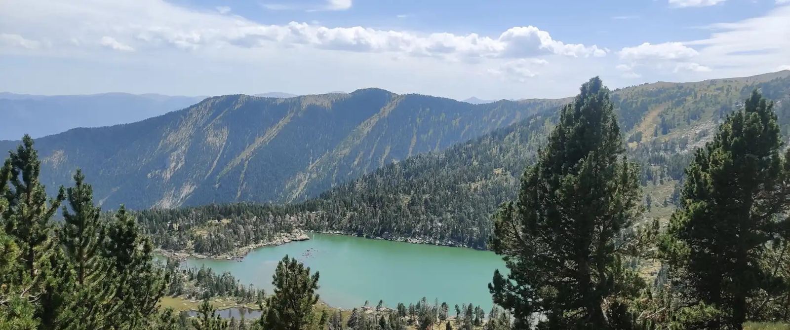 Lac turquoise de la réserve, entouré de pins
