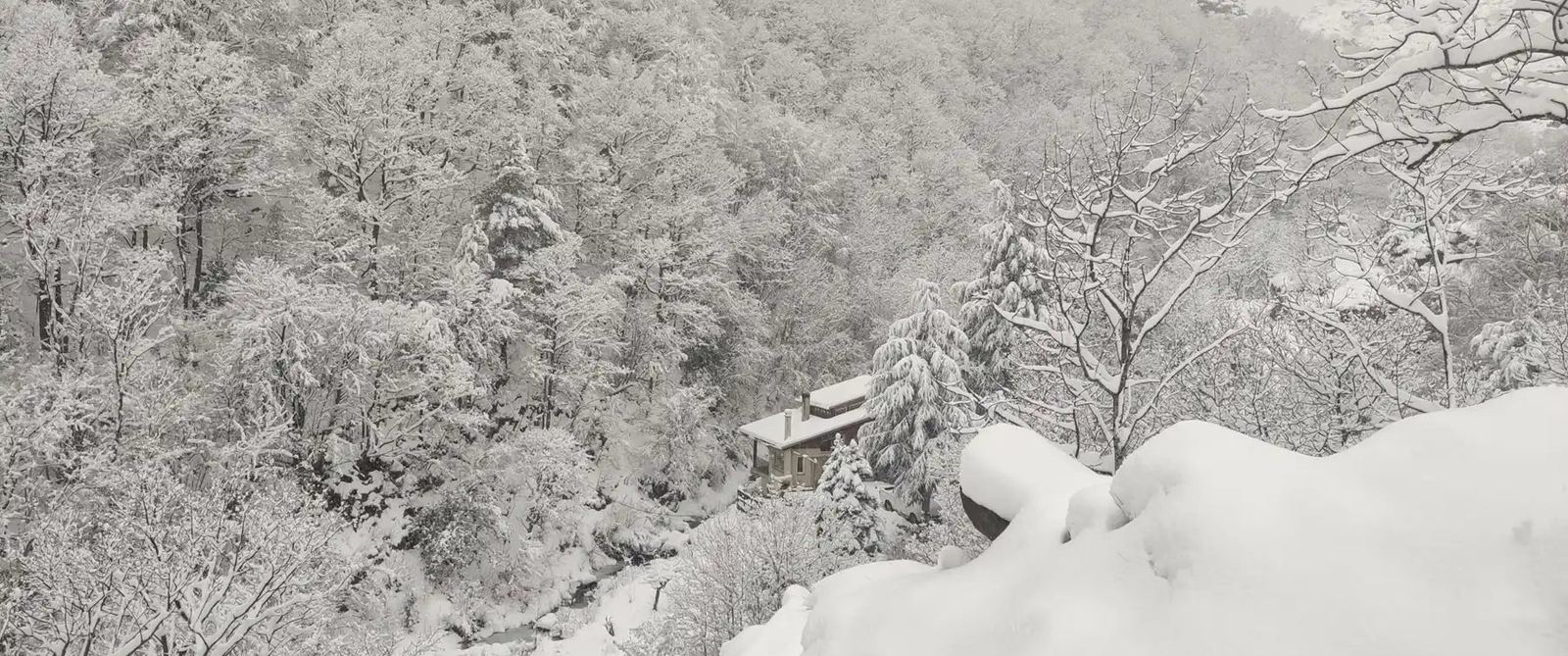 Hiver : La forêt de la vallée sous la neige